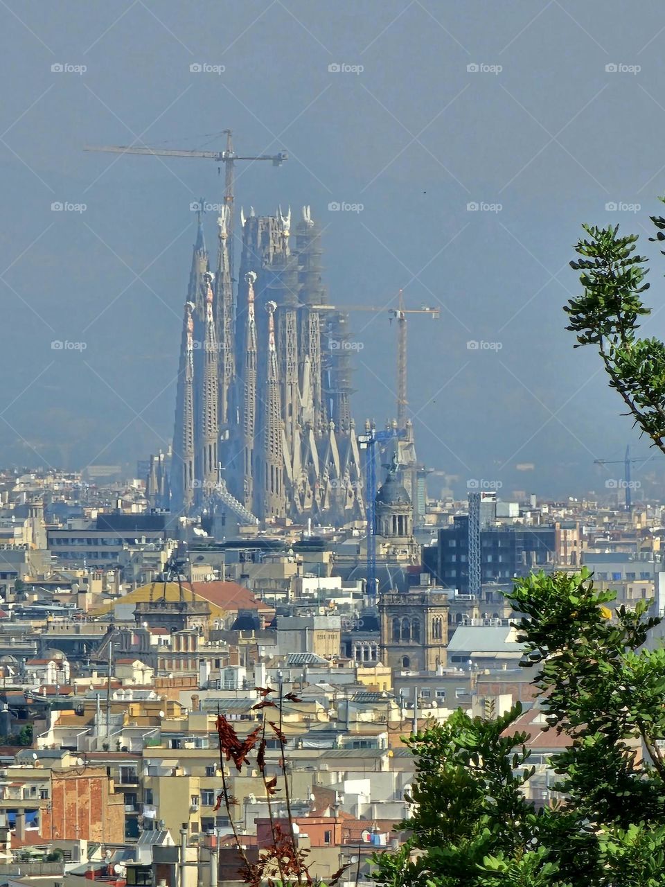 sagrada familia à Barcelone