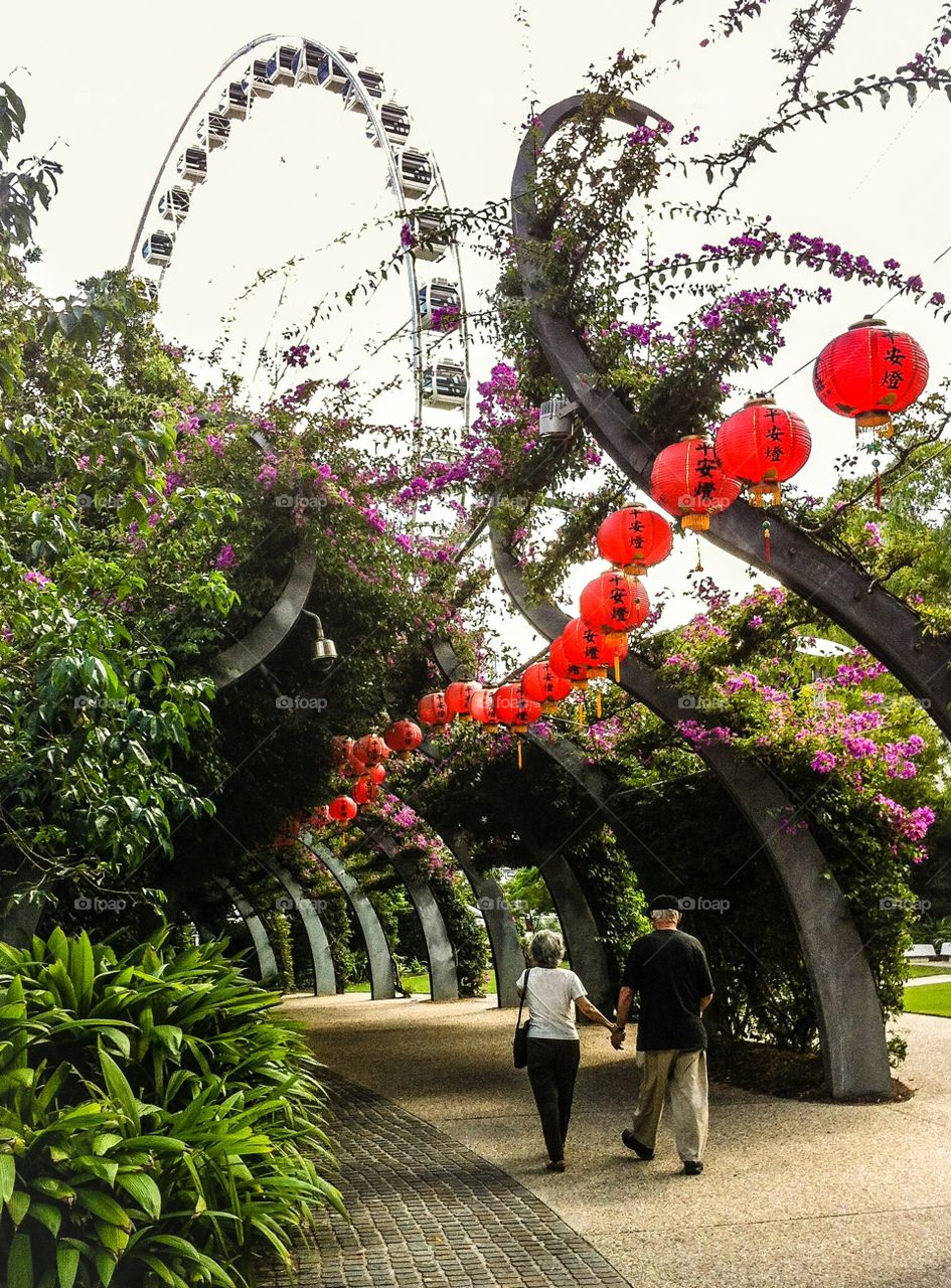 Love For Ages . An old couple holding hands on a beautiful day