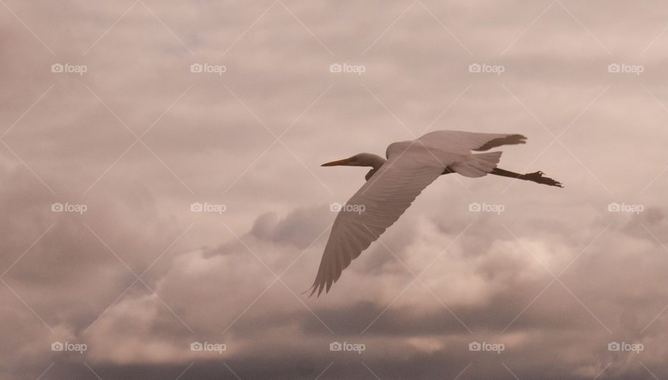 Rio Grande do Sul, Brazil