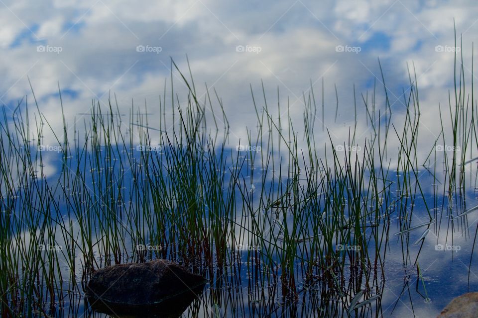 Clouds reflected on pond