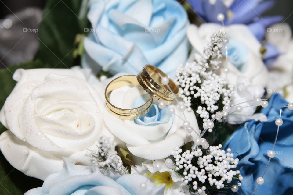 Two gold rings on rose flower