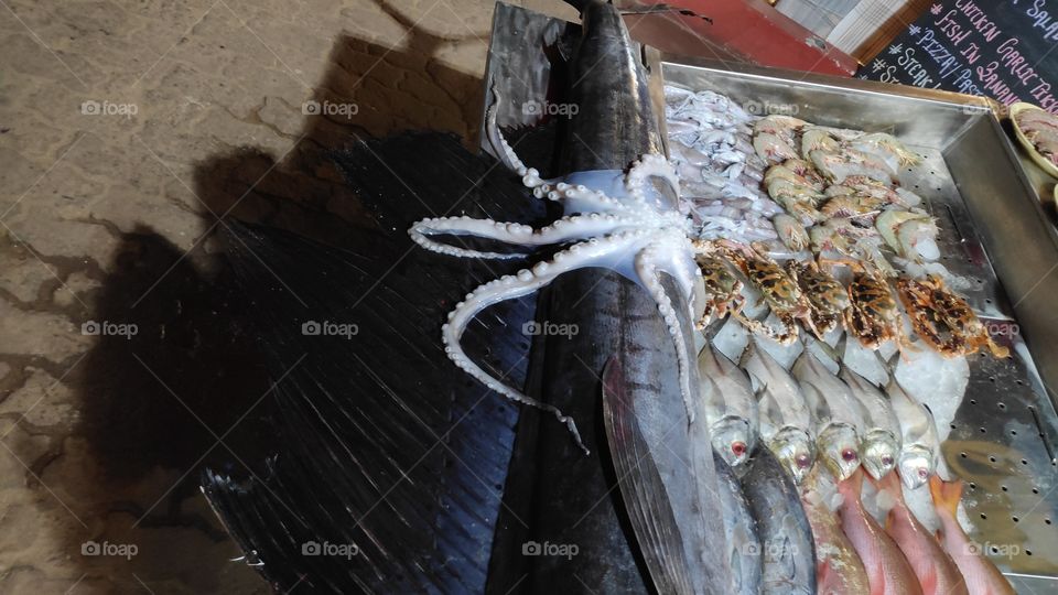 sea food on display