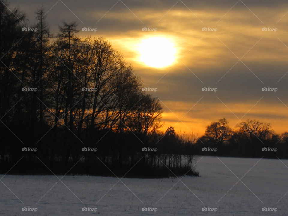 Dawn, Landscape, Sunset, Tree, Winter