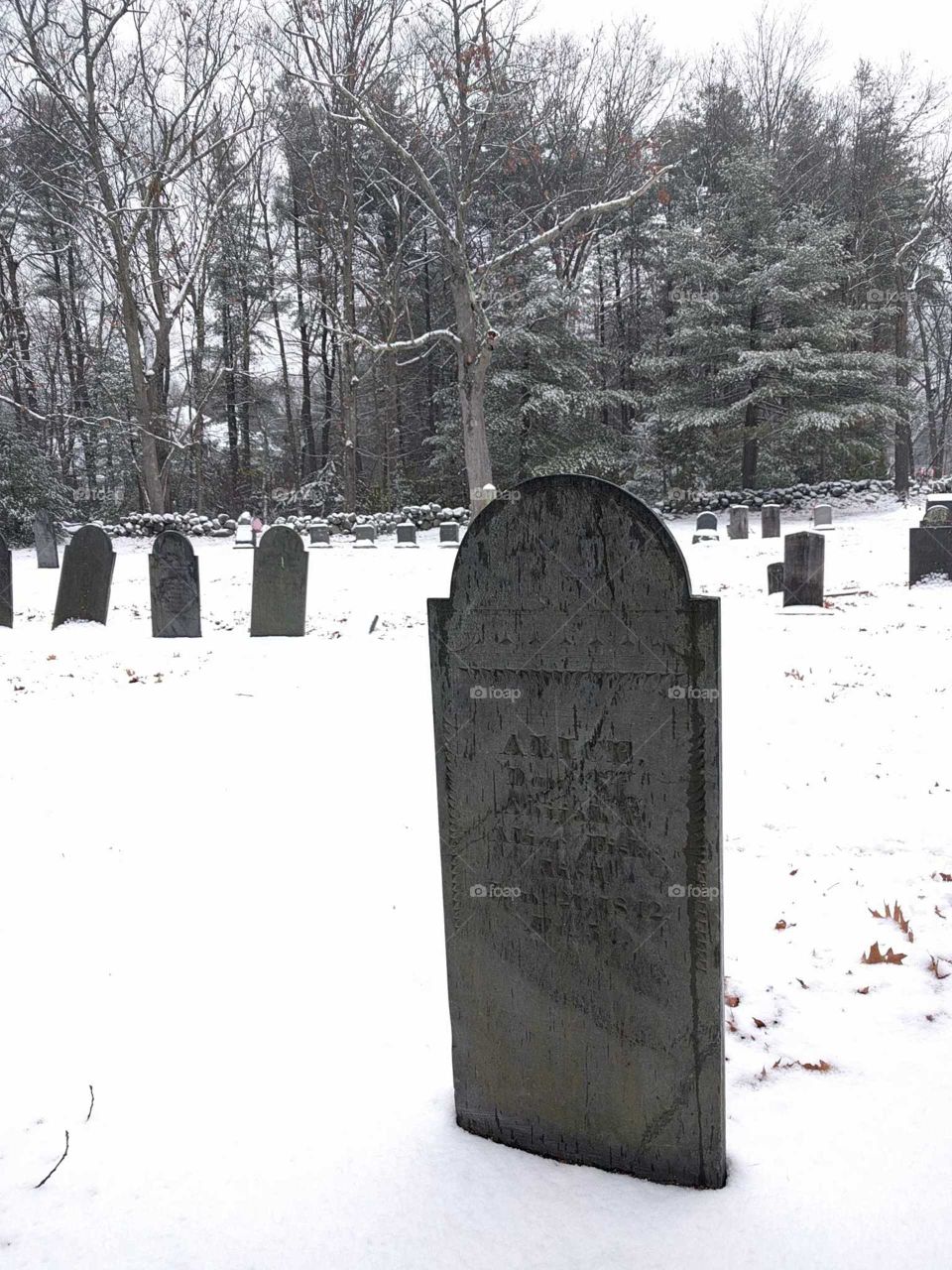 Winter, Snow, No Person, Cemetery, Cold