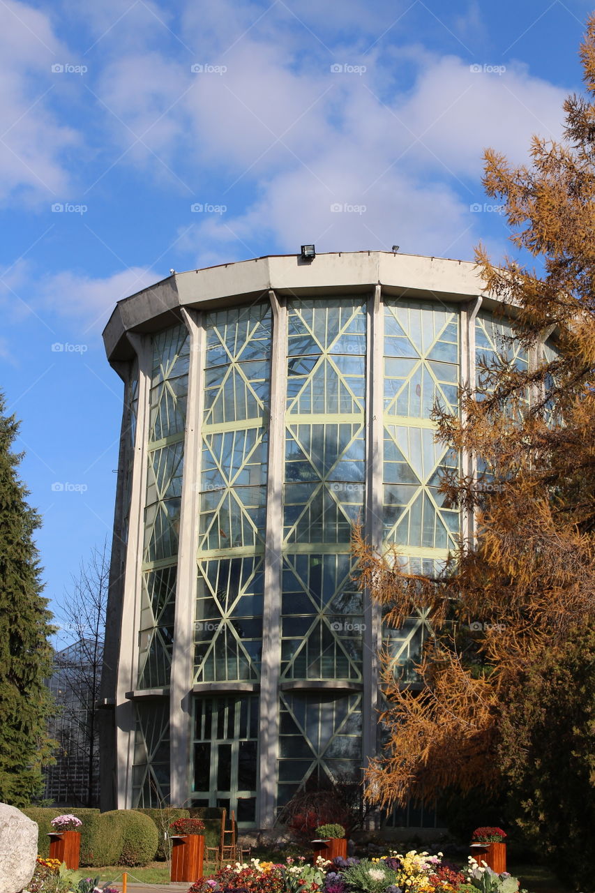 beautiful geometrical building and trees