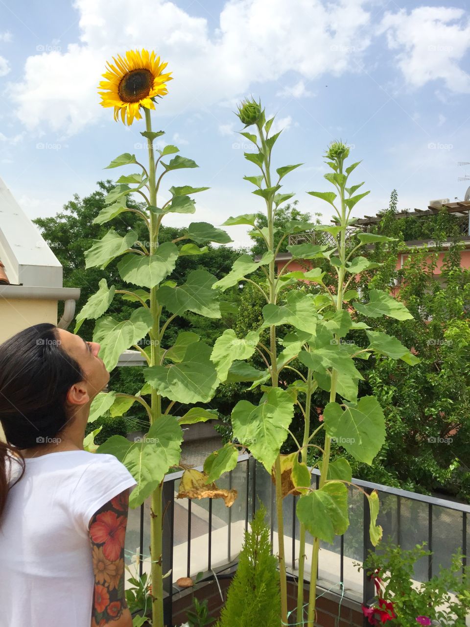 With the head looking up. With the head looking up plants and sky