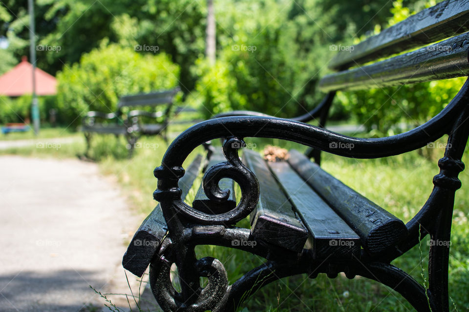 Park iron bench in a city park