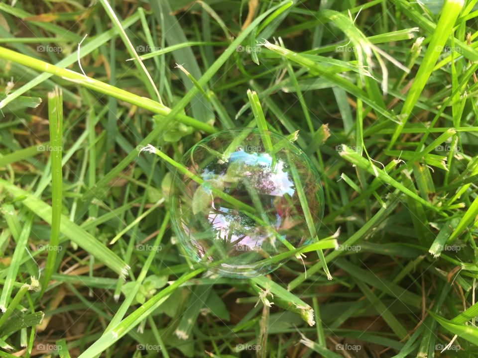Bubble in the grass