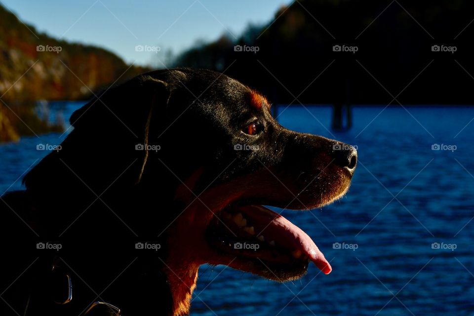 Smiling at the river
