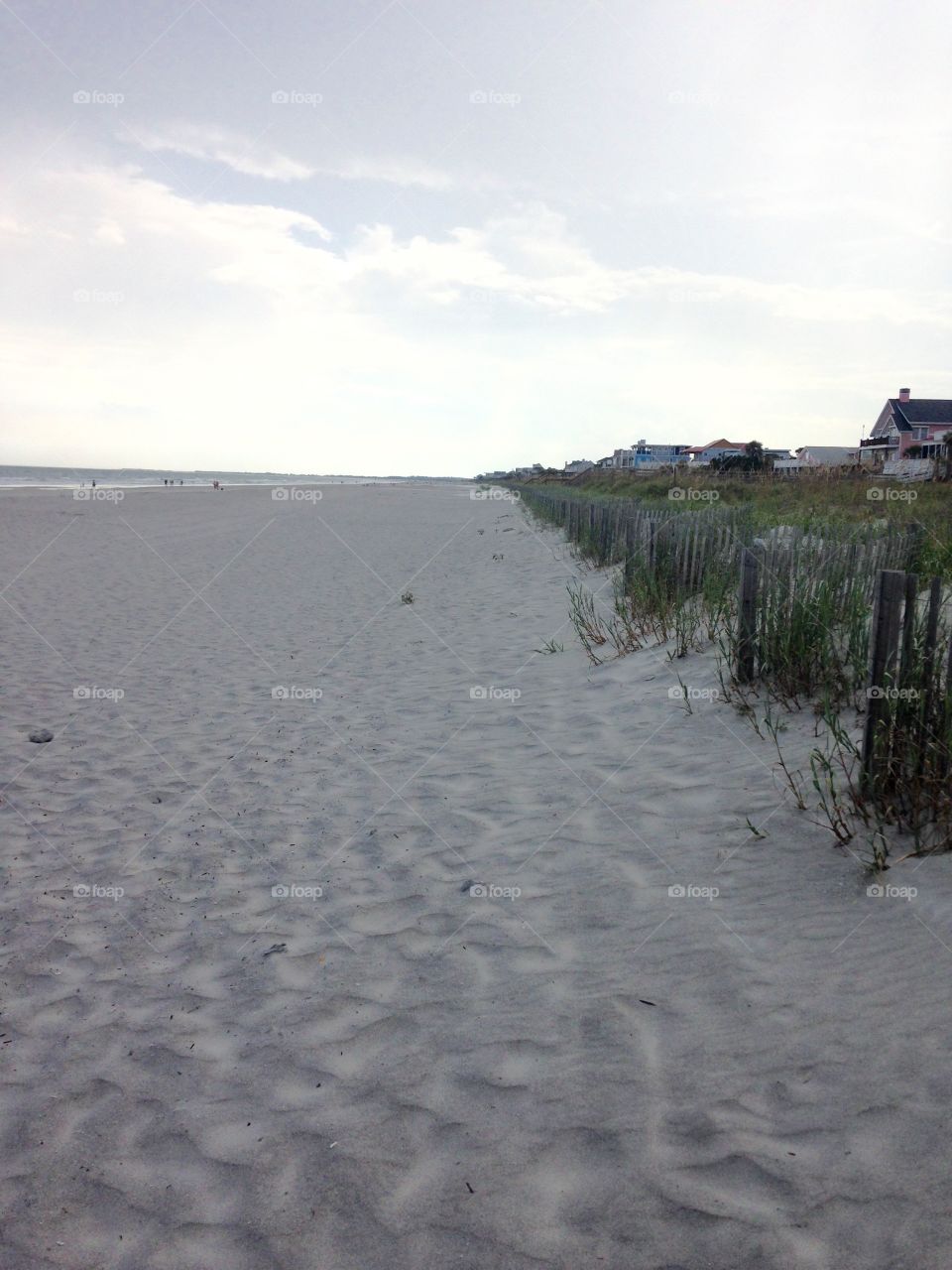 Beachscape