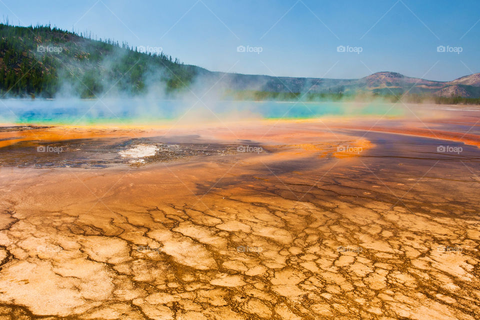 Grand prismatic spring in Yellowstone