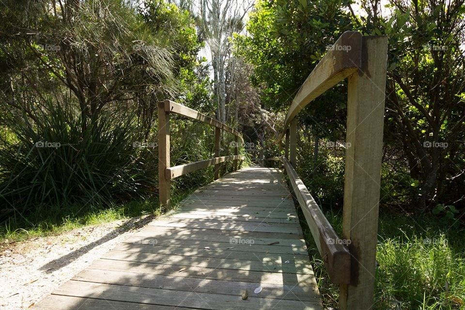 Wooden Pathway