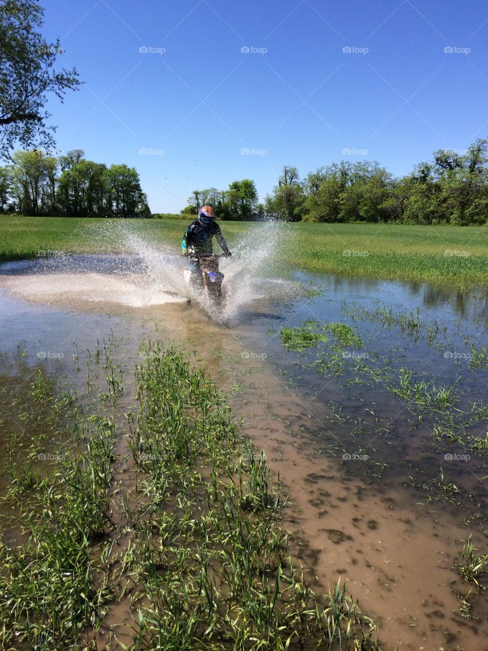 Water, Recreation, Environment, Tree, Landscape