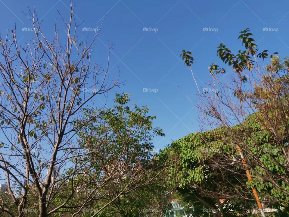 Sky View