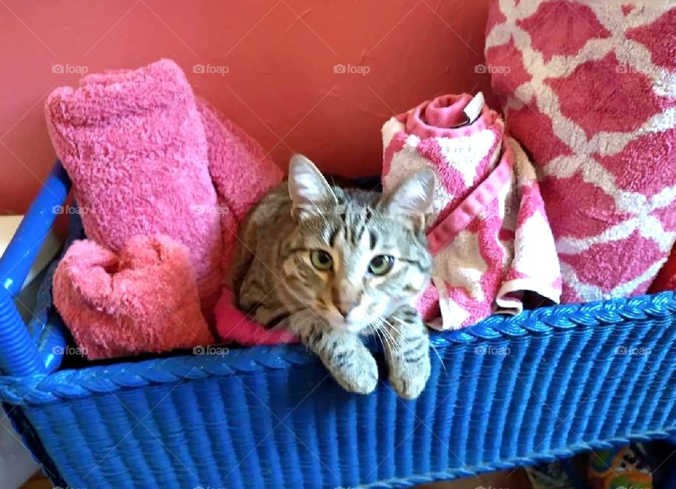 They won't find me here...