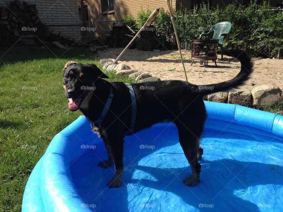 Playing in the pool!