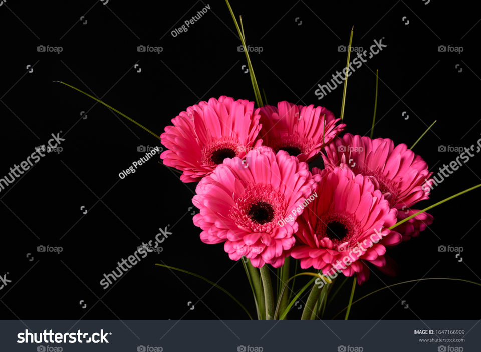 Flower can release our mind