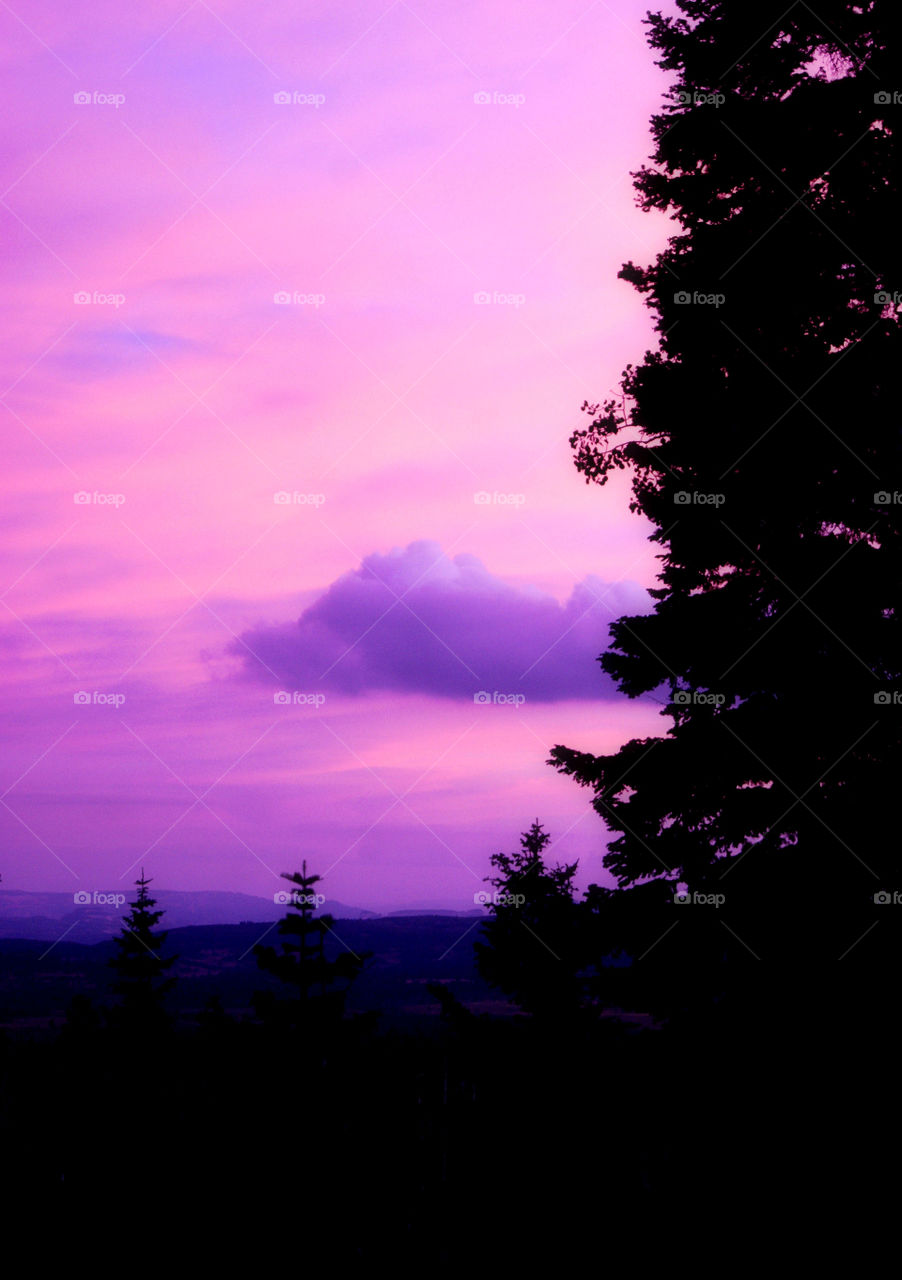 Pink and purple sunset