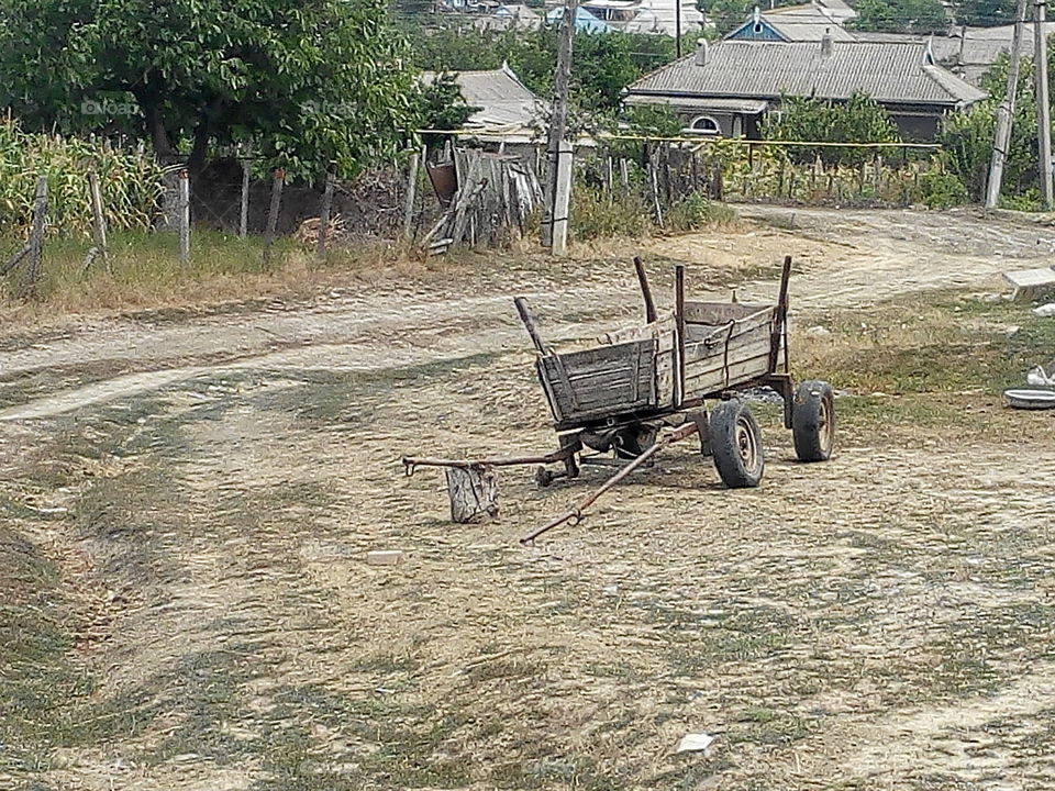 Cart, Nature, Summer, Grass, No Person