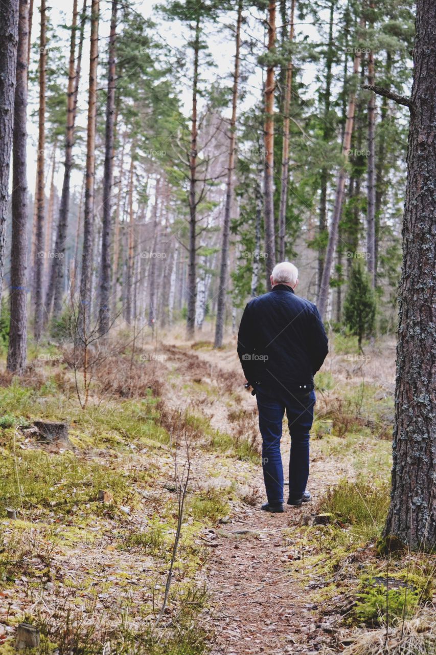 Senior man walking in the forest