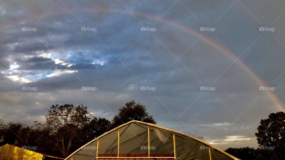 Rainbow over the greenhouse 