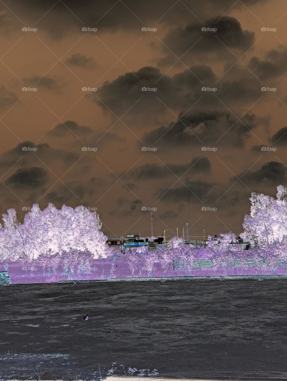 Garden and nature landscape