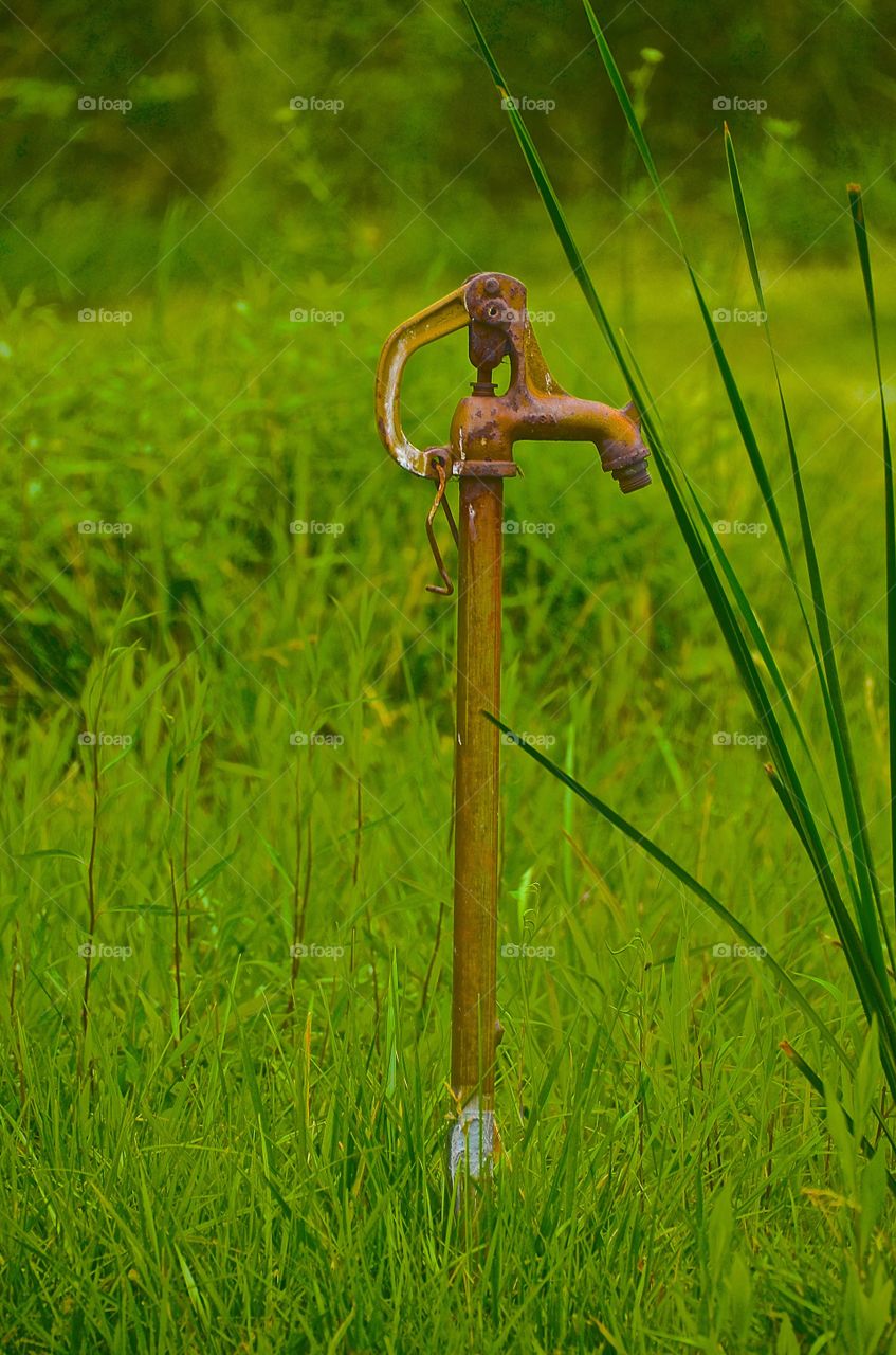 Well in the weeds. Water pump in the country