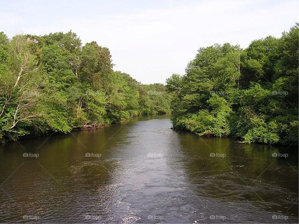 RIVER VIEW FROM BRIDGE
