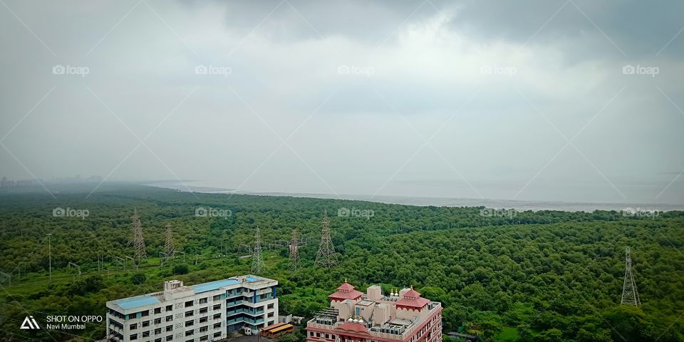 # greenery# water# sky# fog# cloudy# nature# landscape#