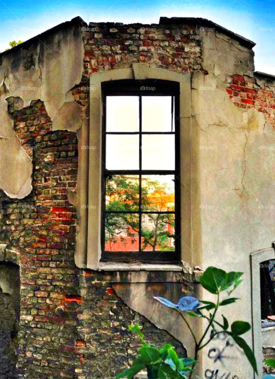 House, Window, No Person, Architecture, Wall