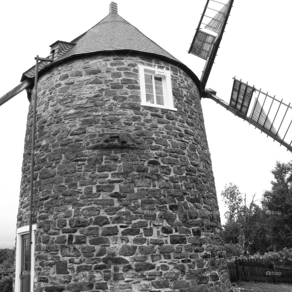 The Mill
