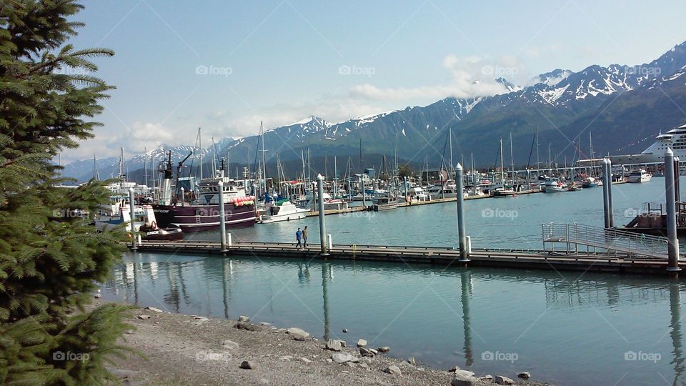 Seward boat harbor, Alaska