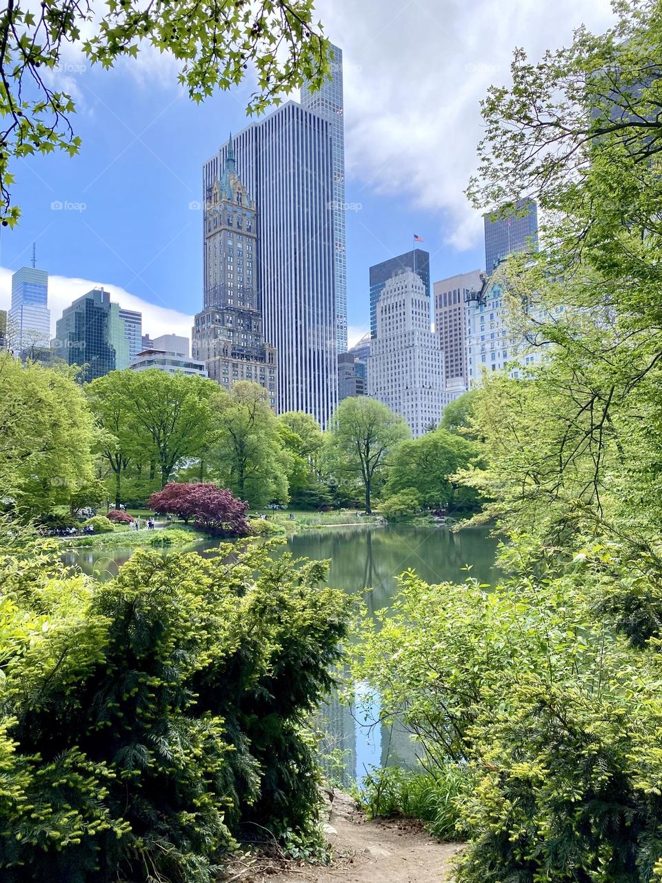 New York City view from Central Park 