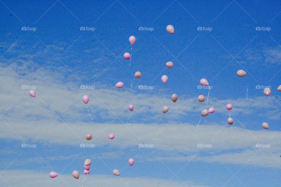 Pink Balloons . Pink balloons in the sky
