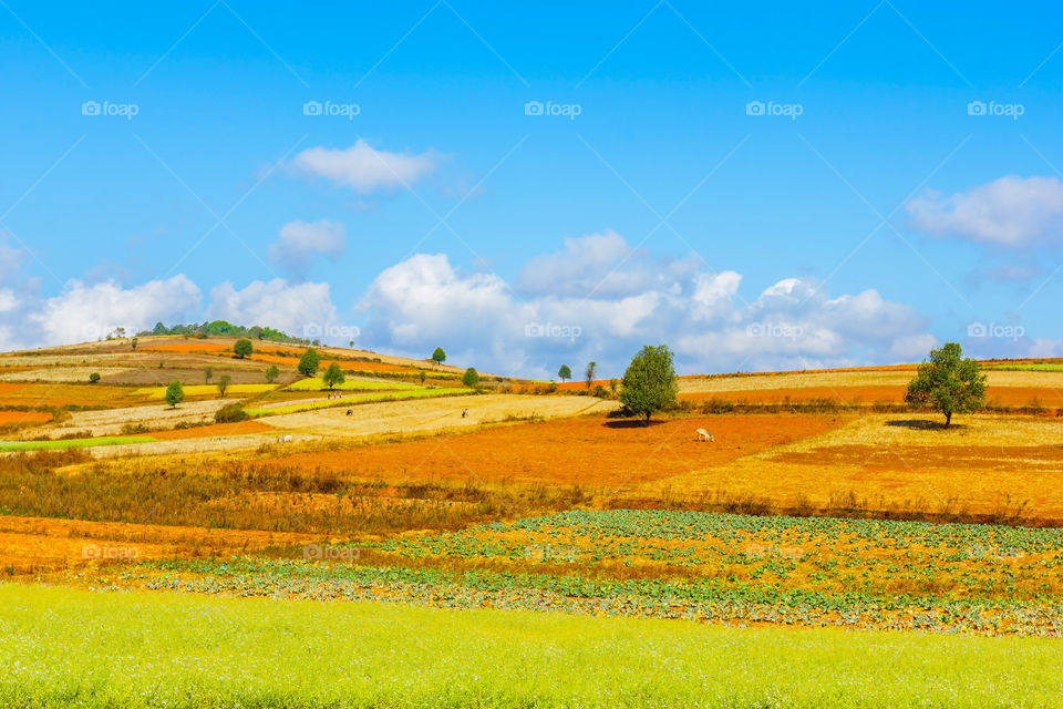 Myanmar Tuscany 🤗