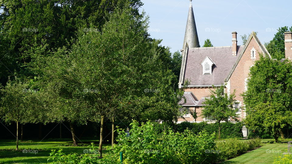 A garden in Antwerp.
