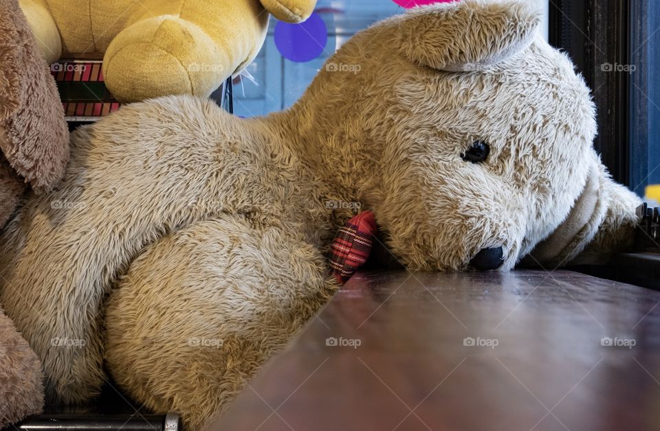 Teddy Bear take a rest on counter bar