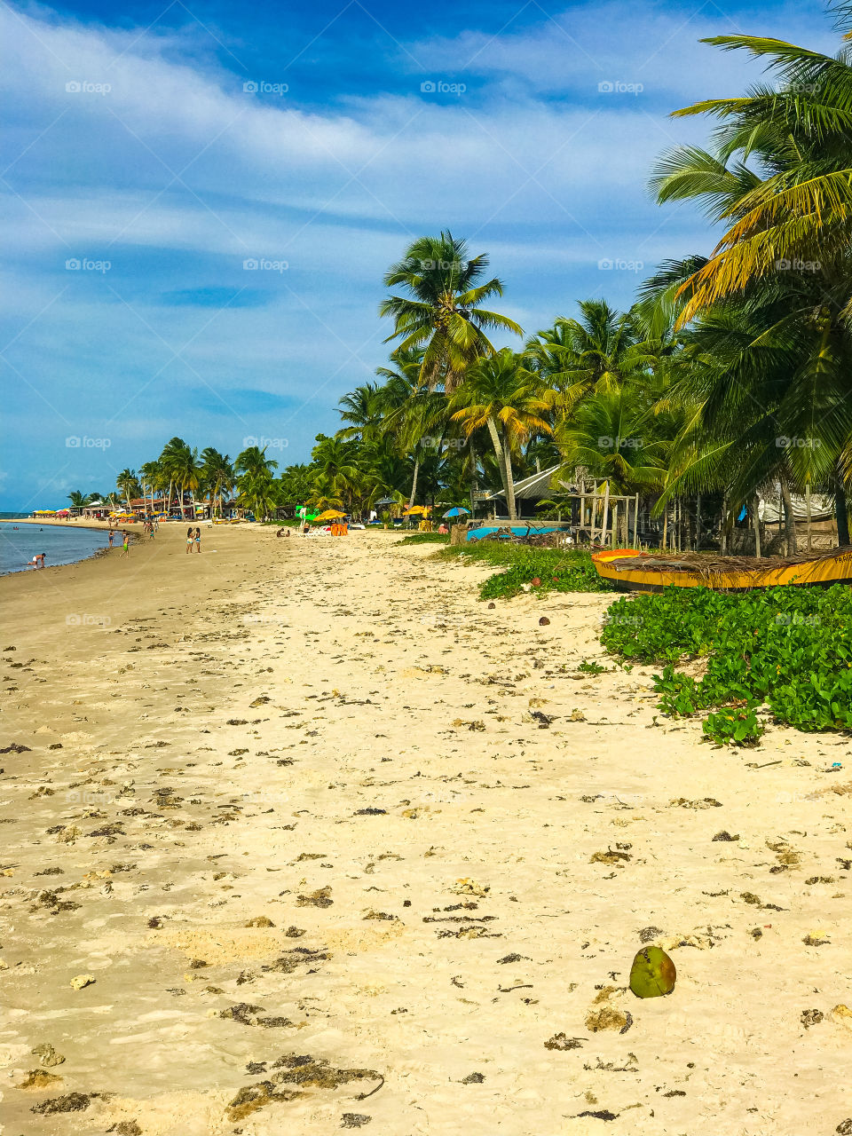 beautiful and very well frequented the beach of crown red Bahia Brazil