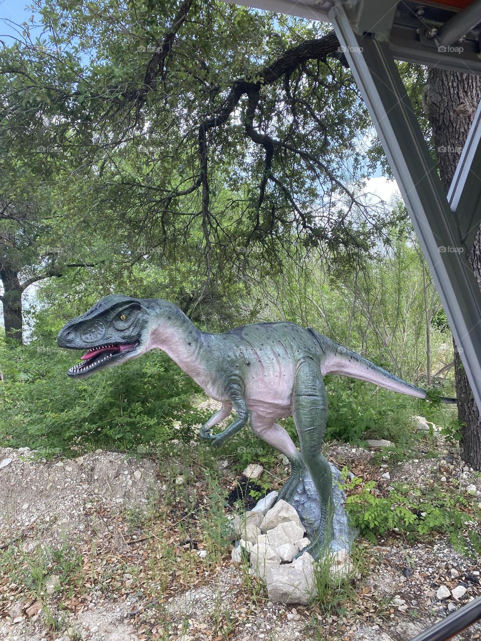 dinosaur 