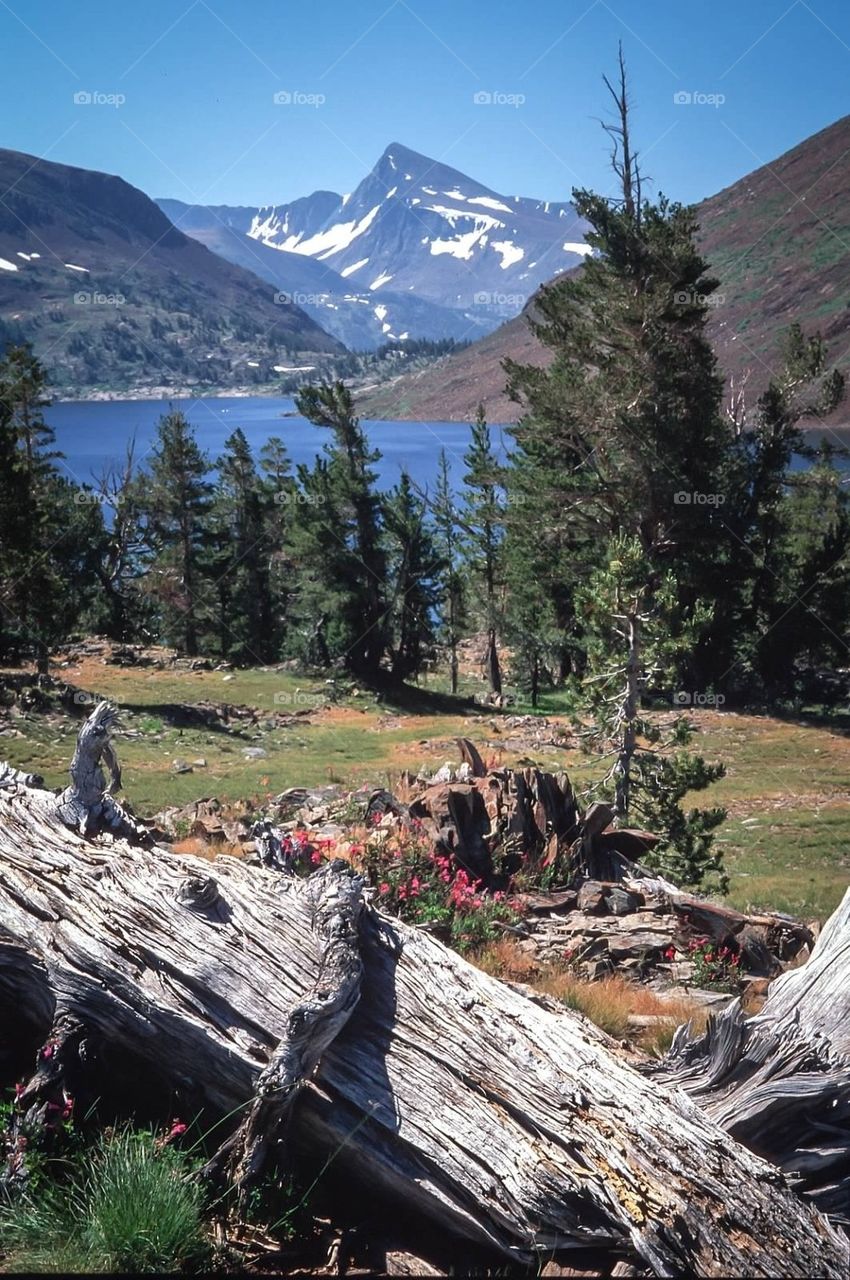 Mount Dana and Saddleback Lake