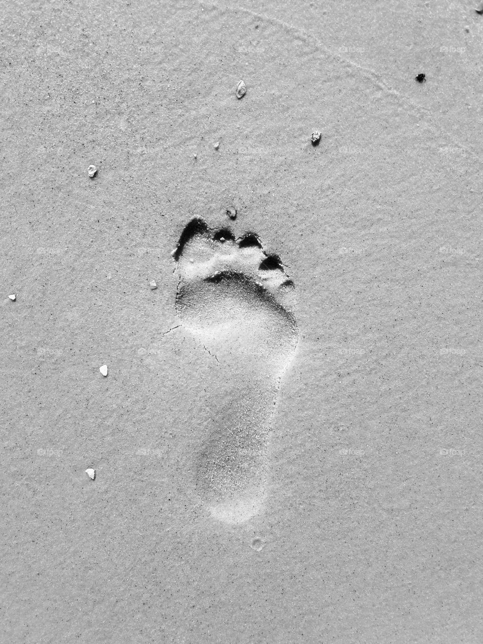 Footprint in the Sand