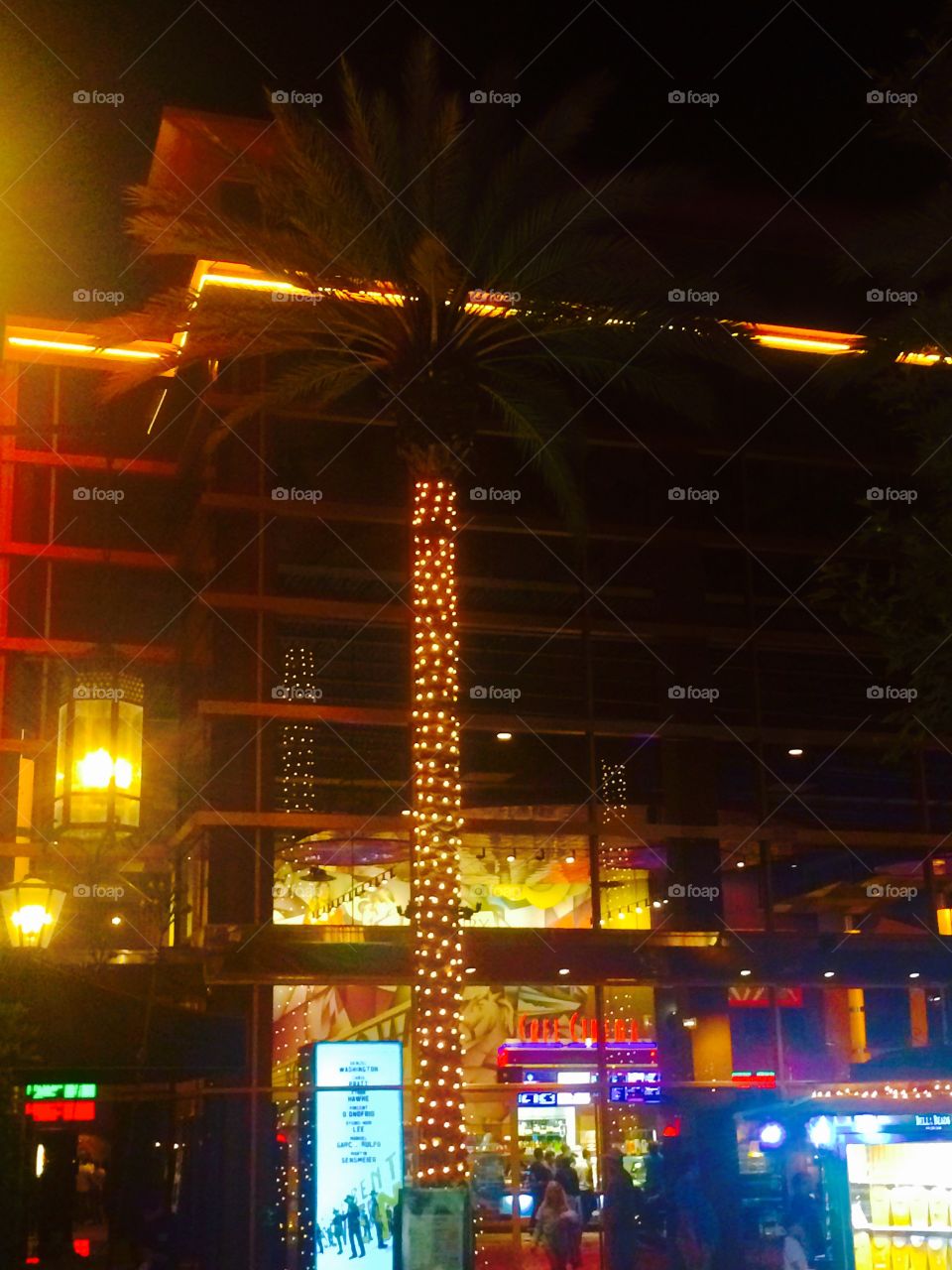 Palm tree with lights 