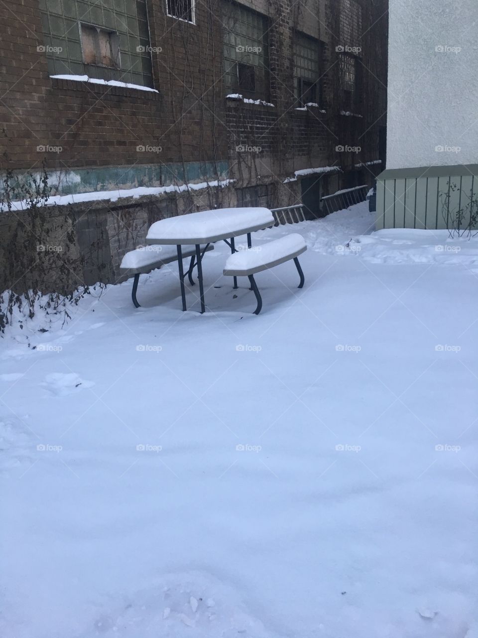 Snow in Minneapolis, MN Winter of 2016