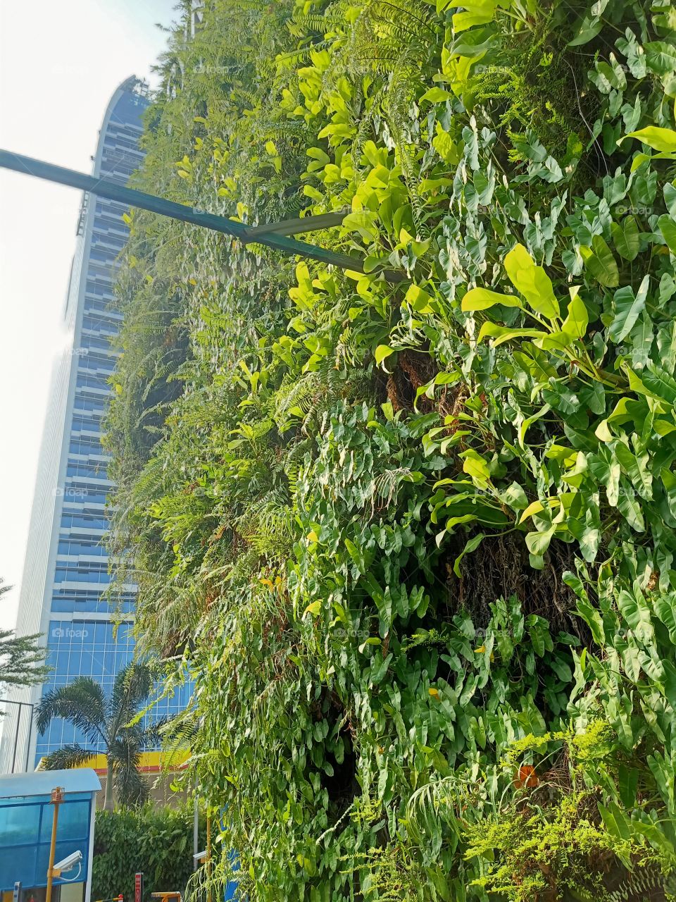 the vertical greenery