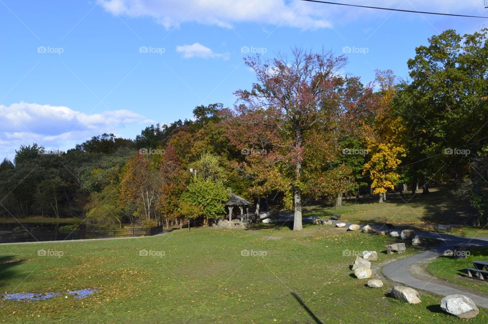 Mountain fall scenery 
