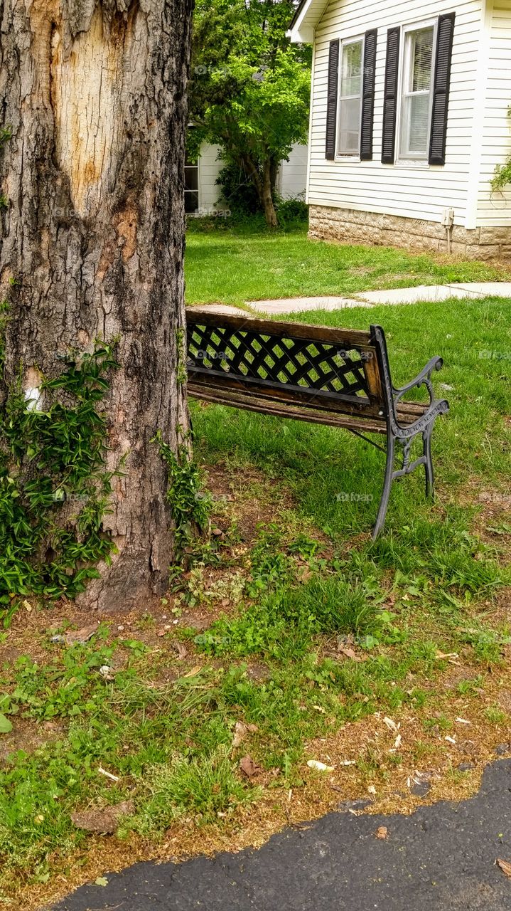 Tree trunk and bench in front of white house