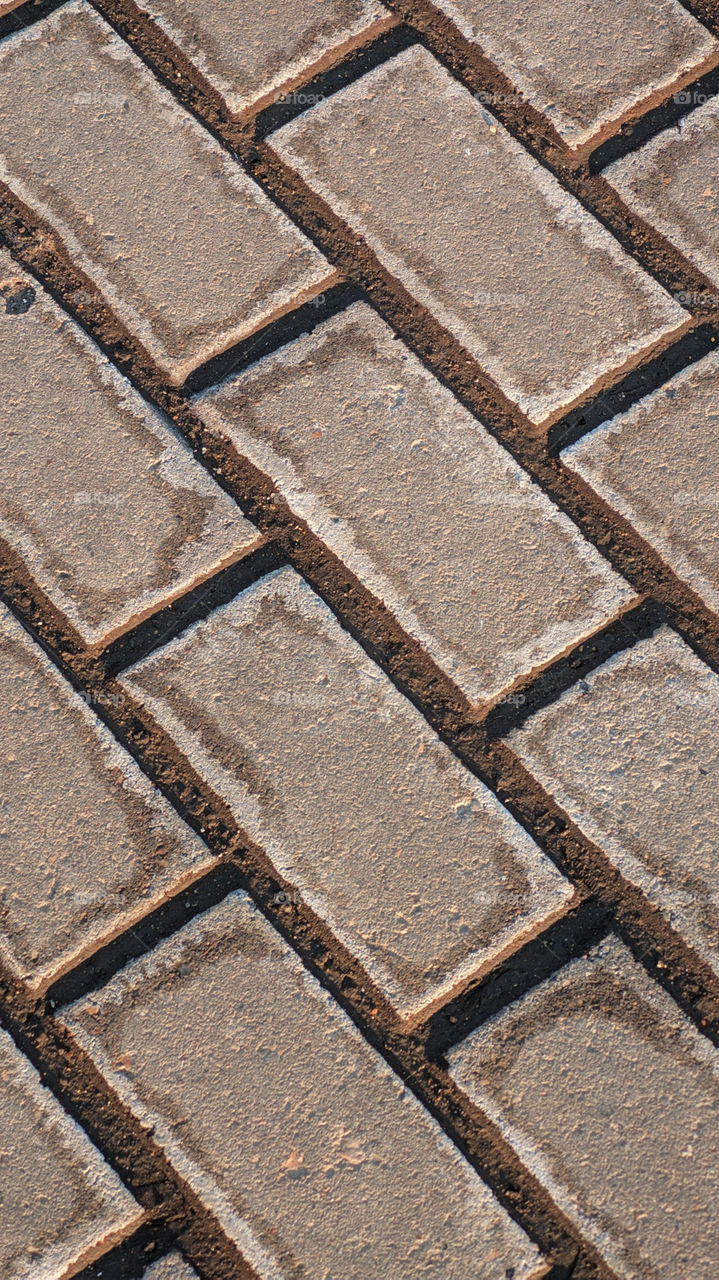 rectangular brick grey paving slabs laid in a row