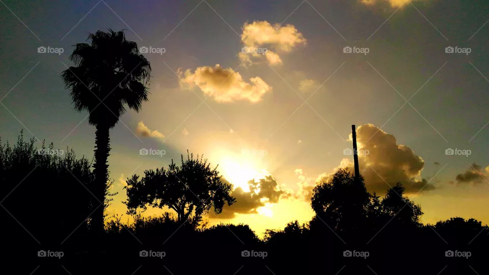 The sun sets between the trees in the village of Cuotto on the Italian island of Ischia