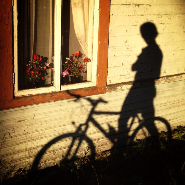latvia wall shadow bike by ips