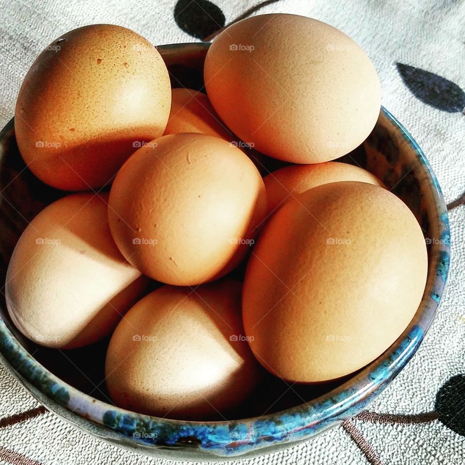 farm fresh eggs